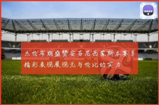 杰伦布朗盛赞安芬尼西蒙斯本赛季精彩表现展现无与伦比的实力