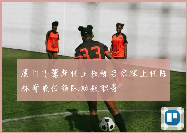 厦门飞鹭新任主教练吕宏琛上任陈林奇兼任领队助教职务