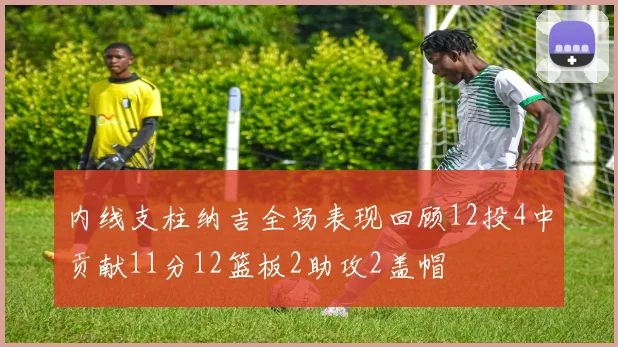 内线支柱纳吉全场表现回顾12投4中贡献11分12篮板2助攻2盖帽